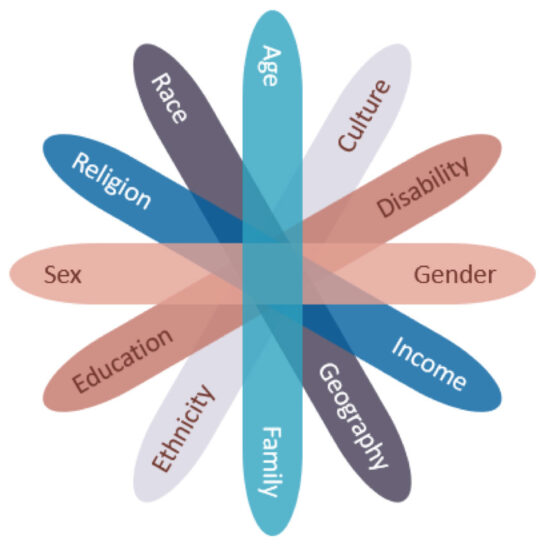 FIGURE 1. Intersectionality of factors affecting a newcomer woman’s experiences.